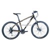 Mountain Bike (KS20SS02)
