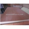 good quality Bintangor Plywood