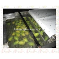 WTMG mango processing machine,mango washing waxing drying machine