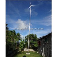 2013hot sale 1kw wind turbine generator AC24V/48V for household