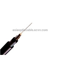 Armored and Sheathed Double Central Loose tube Cable GYXTW53