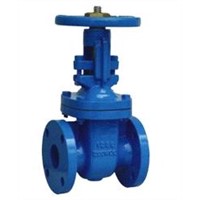 Cast iron globe valve ANSI125/150