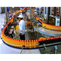 Conveyor Belt