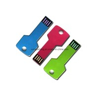 Custom Logo 1-32GB Metal Key USB Stick (WS-B019)