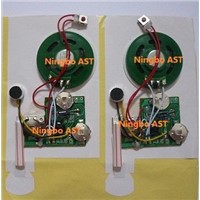 Greeting cards sound module,recordable sound module