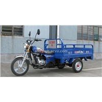 HOT SELL &amp;amp; Fashionable 110CC Tricycle
