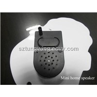 Mini Home Speaker/ Motion Sensor