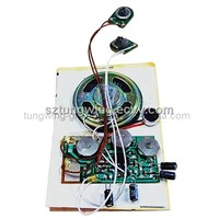 Recordable Sound Module for Greeting Card