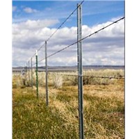 t-Post for Barbed Wire