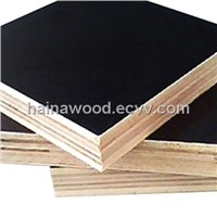 Water-Proff Film Faced Plywood