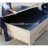 cheap Black Film Faced Plywood