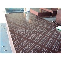 shuttereing Film Faced Plywood with Logo