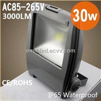 30w LED Flood Backpack Light