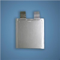 Low temperature Lithium Polymer Battery