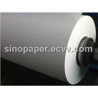 PE Coated Food Wrapping Paper