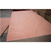 combi core bintangor plywood