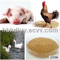 poultry feed additives choline chloride60%