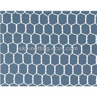 Galvanized Hexagonal Electro Galvanized Wire Netting Factory
