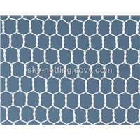 Galvanized Hexagonal Electro Galvanized Wire Netting Factory