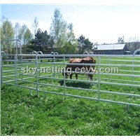 Galvanized Horse Fence/Wholesale Horse Fencing