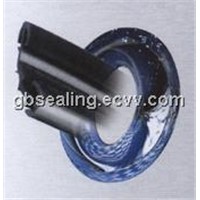 Rubber Windshield Seal Strip