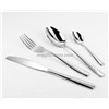 Fasion Stainless Steel Cutlery Set