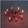 doll rose music birthday candle
