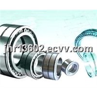 INA SL014830 Full Complements Cylindrical Roller Bearings