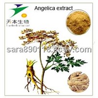 100% Natural Angelica Sinensis Extract: ligustilide