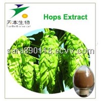 100% Natural Hops Flower Extract Humulus lupulus 10%