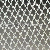 Barbed Razor Wire and Netting