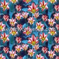 Digital print silk habotai/chiffon/georgette/satin/crinkle fabrics