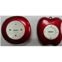 Fashion Min iPod FM Radio/Portable Radio