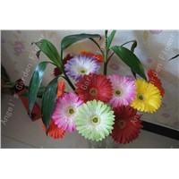 GERBERA