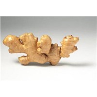 Ginger extract