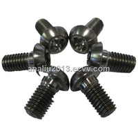 High-quality Pure Silver Nickel Screw