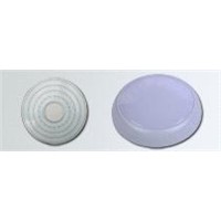 LED ceiling light