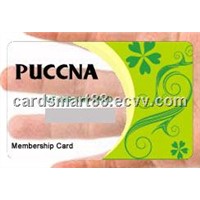 Low Price Transparent Clear/Frosted Cards Printing from Cards-Mart.com