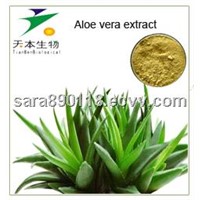 Natural Aloe Vera Extract Power
