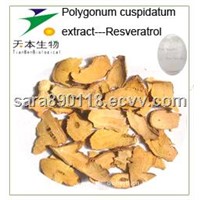 Polygonum Cuspidatum extract powder Resveratrol