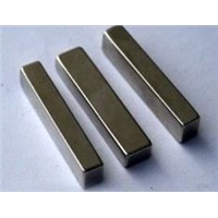 Rare Earth Magnet