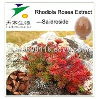 Rhodiola Rosea Extract 3% Salidrosides from GMP Certified Manufacturer
