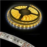 SMD 3528 SMD 5050 LED  Strip 12V DC