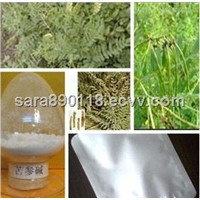 Supply High Quality Oxymatrine Plant Extract Radix flavescentis P.E