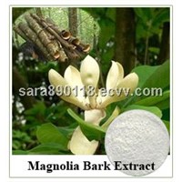 Top quality Magnolia extract Magnolol Honokiol 2% 5% 10%
