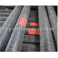 Chicken Wire Mesh 3/8 to 3&amp;quot; Opening, 0.5 to 3mm Wire, Zinc or PVC Coated Surface