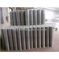 Hot-Dipped Galvanized Welded Wire Mesh (Anping Factory)