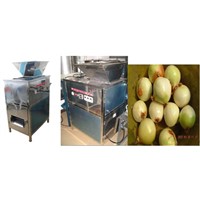 onion peeling machine