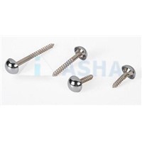 Brass Mirror Screws