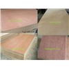 2-40mm plywood timber birch core with difference wood paper